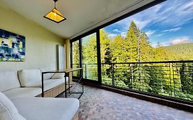 Predeal 1Bdr Bellevue